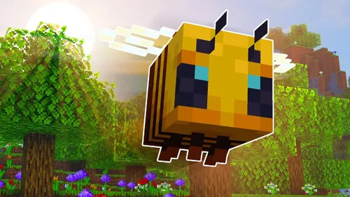 Bee Plan